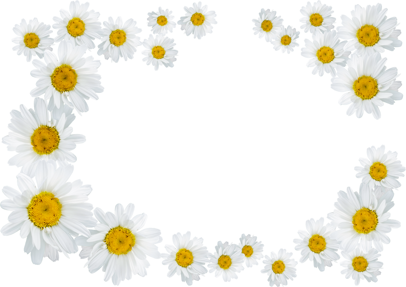 Floral Frame Illustration